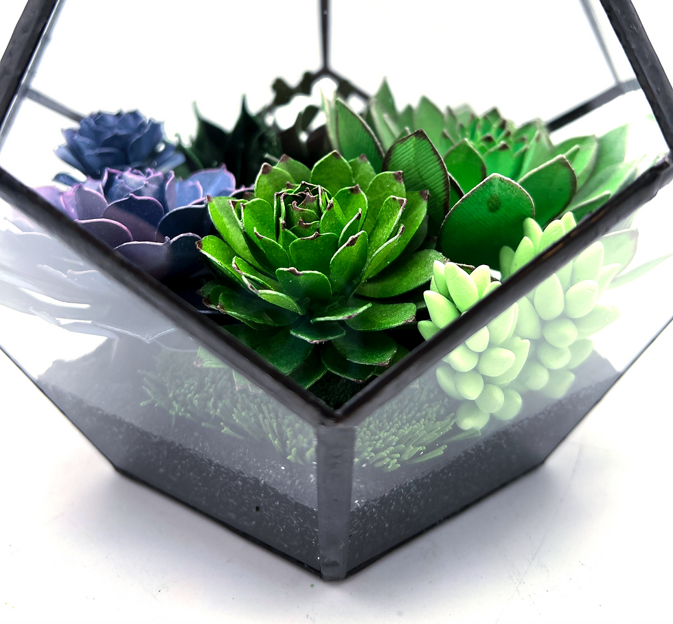 Thumbnail: Purple Von Nernburg+ Sempervivum Mystique | Hexagonal Terrarium Collection