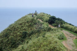 2021_P9258167-1_copy