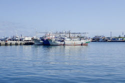 2021_PA038297-1_copy