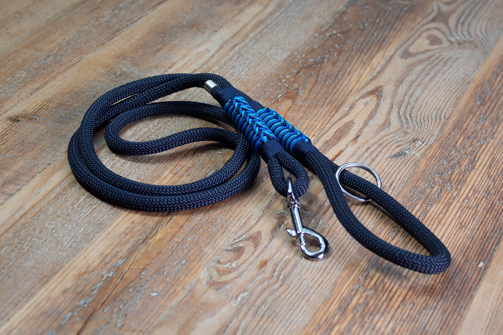 Blue rope dog leash