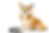 happy-pembroke-welsh-corgi-sitting-near-its-bowl-2026-03-12-23-53-04-utc_edited.png