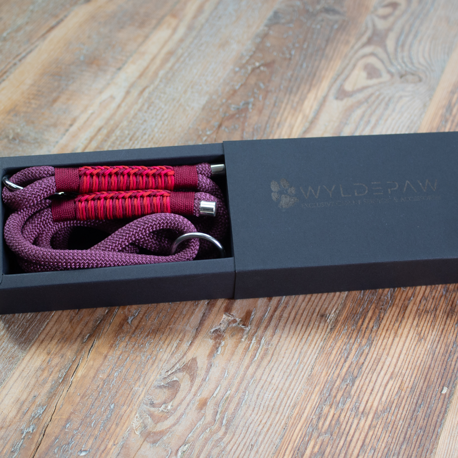 Red rope dog leash in gift box
