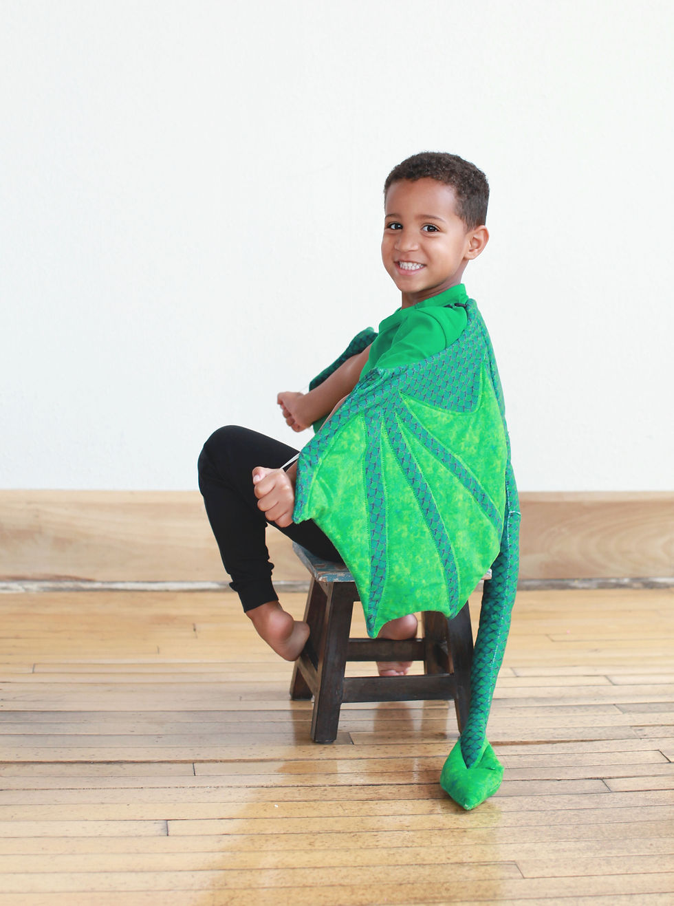 Dragon Wings for Dress Up!