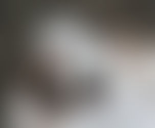 White Lab Puppy (Rev)