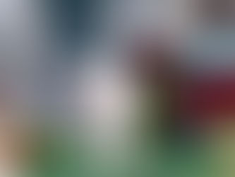 Adopted *** Available Adult White Lab Female