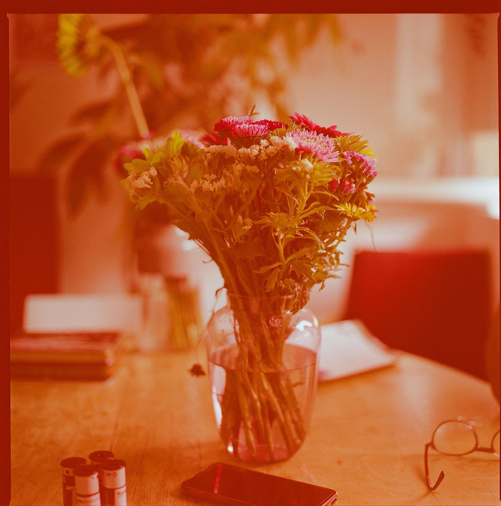 Miniatură: revolog 600nm