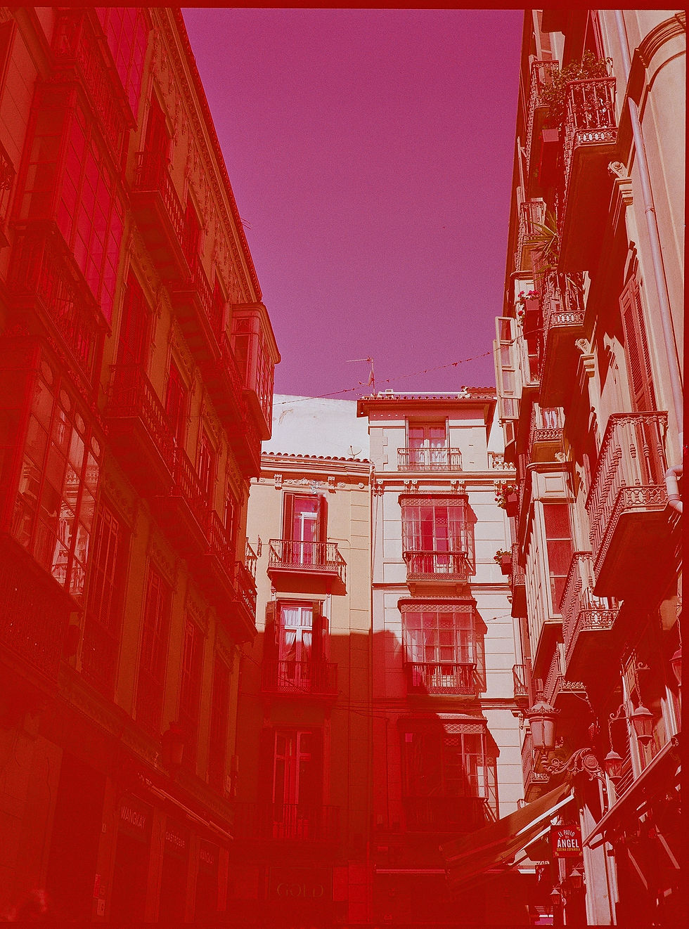 Miniatură: revolog 600nm