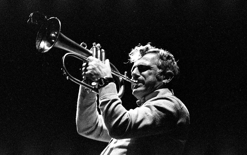 Miniatură: Ilford Delta 3200