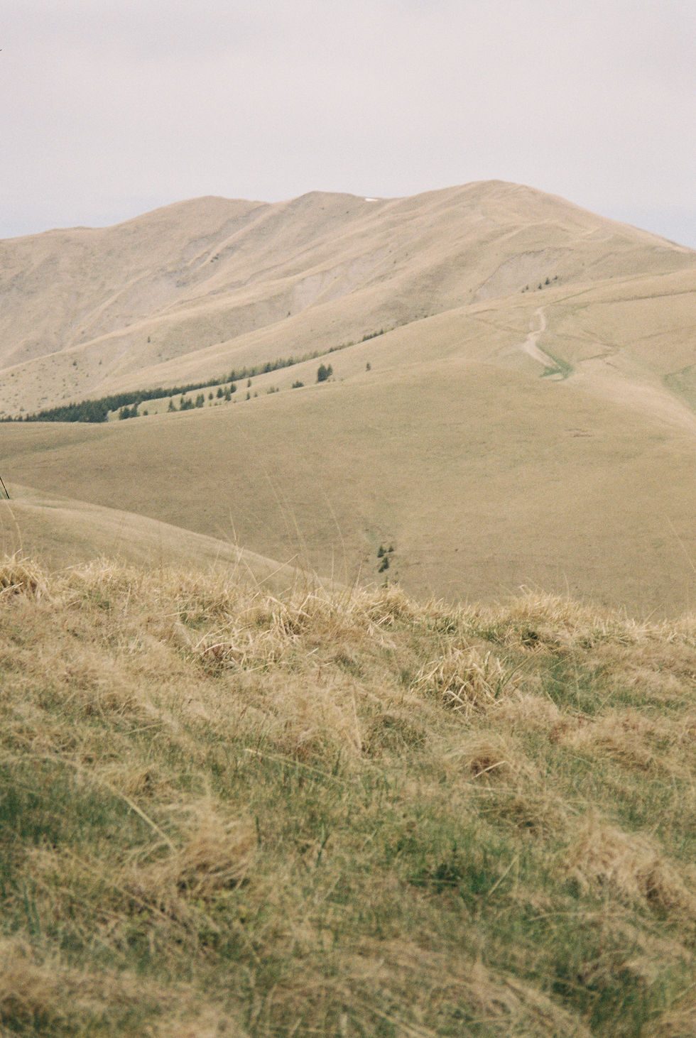 Miniatură: Fujifilm 400
