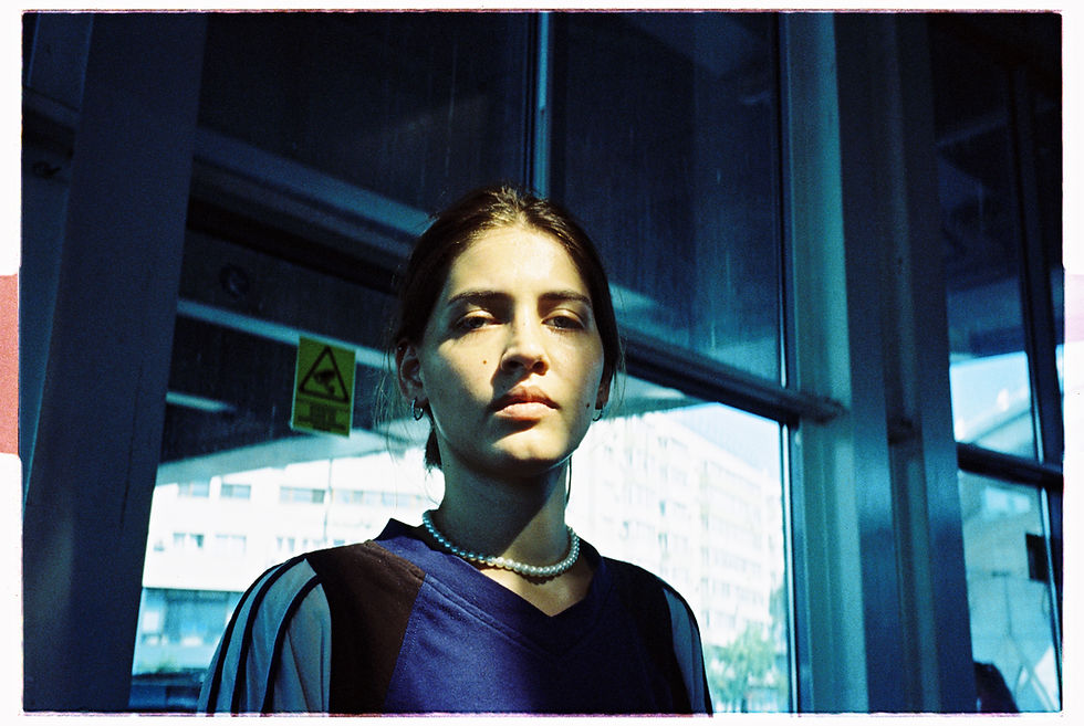 Miniatură: Camera Lucida Tungsten 400