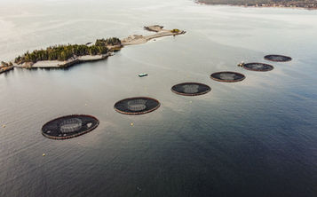 Cooke hosting open houses for expansion of three NS net-pen sites, July 20-22