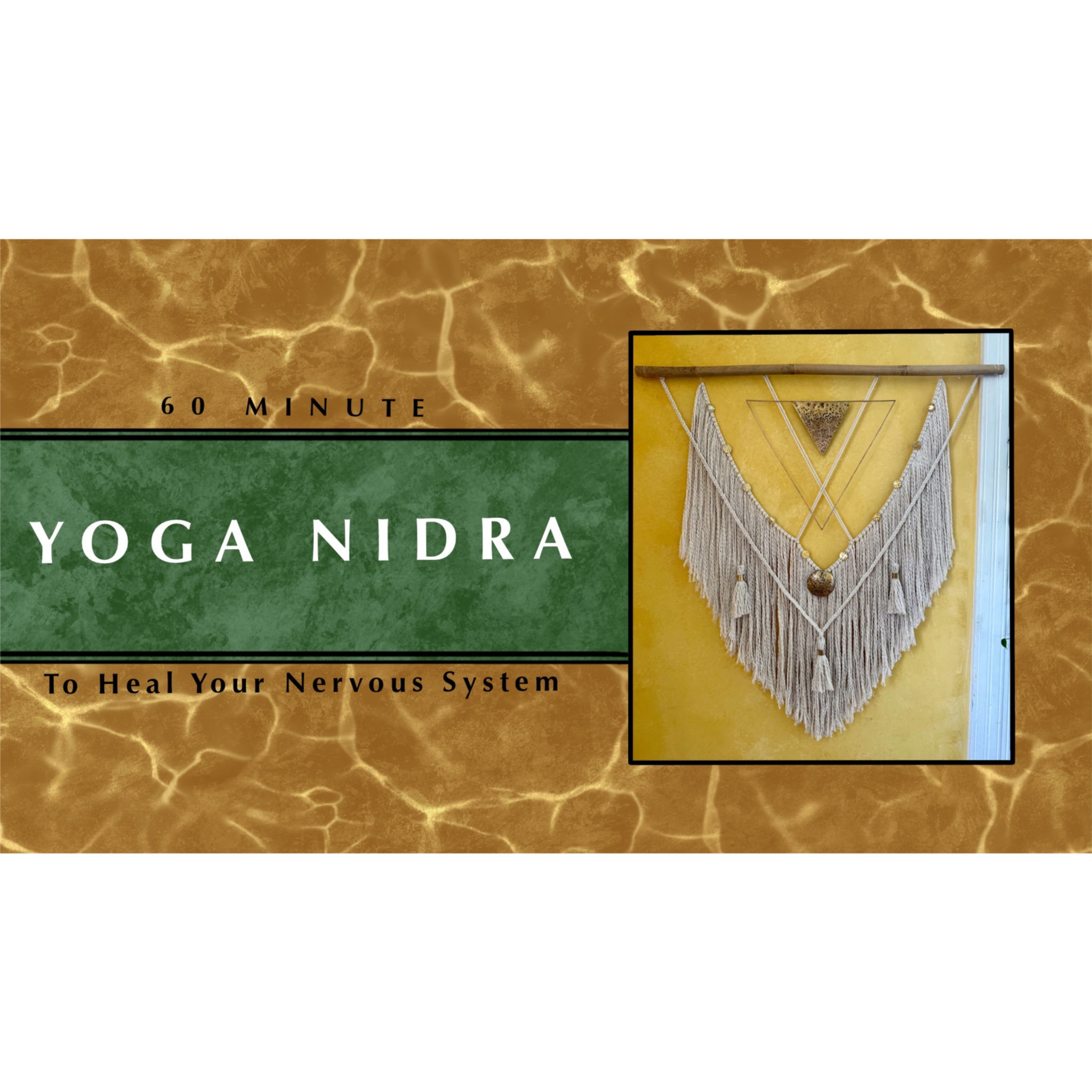 60 Minute Nervous System Healing | Connecting with the Intelligence of Life