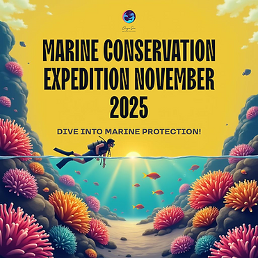 Instagram Post - Marine Conservation Expedition 2025.png