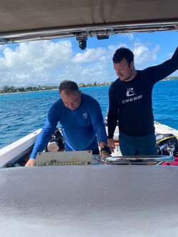 observation briefing