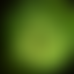 The Green EP: Discovery Community unveils the vol. 2