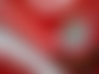 Southampton Players seek legal action after EFL sanctions