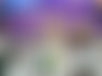 WAFCON 2026: Full group stage fixtures for all competing Nations