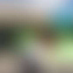 Kingsland Chinese Restaurant