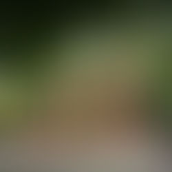 Ferntree Gully Community Arts Centre