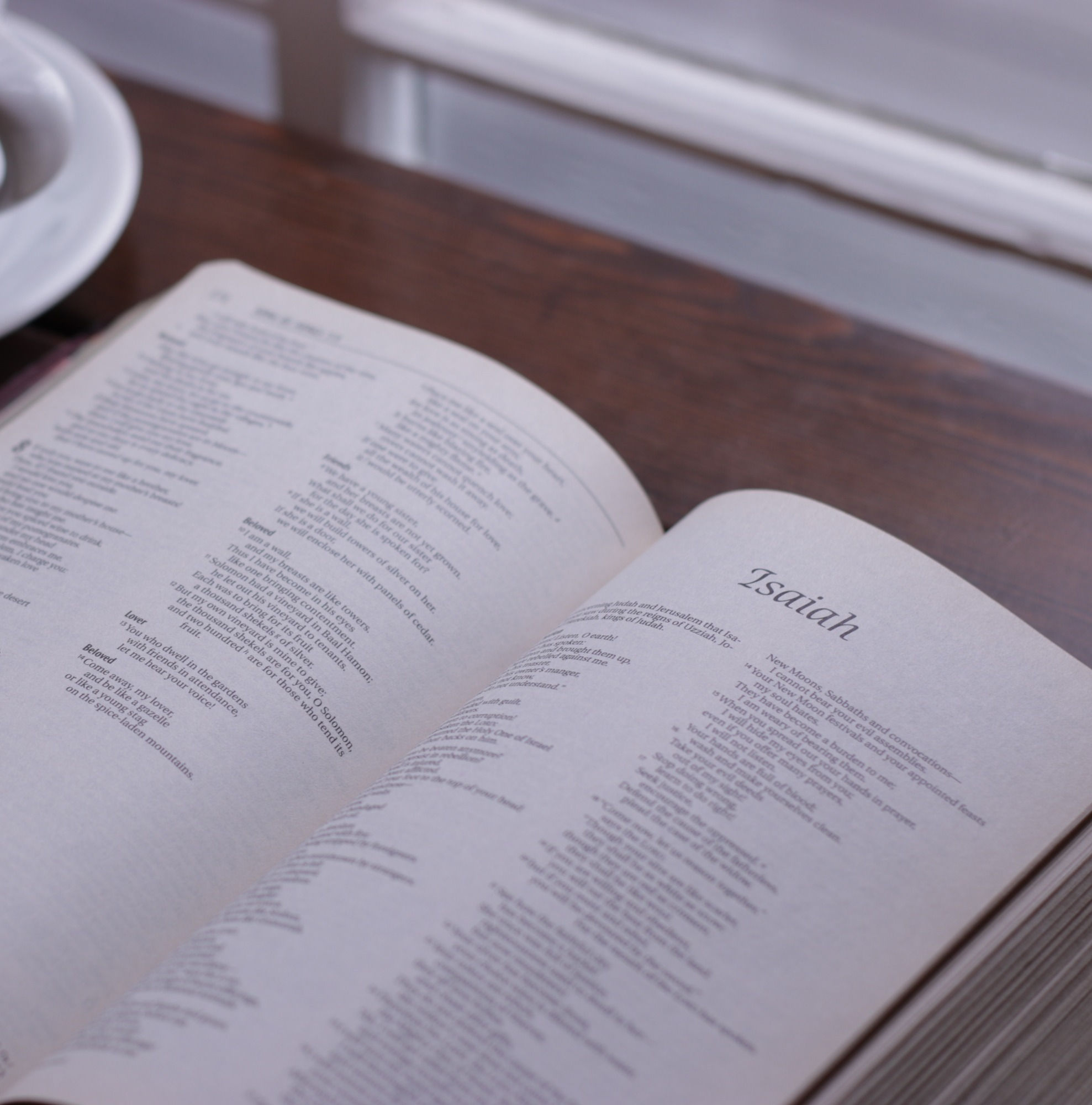 2026 Adult Registration