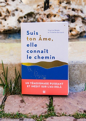 suis ton âme insta fontaine .png