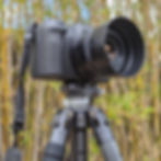 Canon R8 and 28mm lens mounted on the Fotopro X-Aircross 3 Lite.