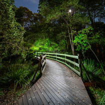 Wooden Bridge