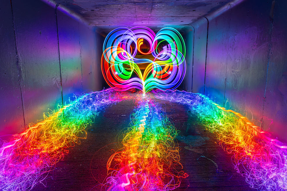 Light Planting CCC. My 300th light plant light painting using the Antsonamelon RGB Critter BT. Brisbane, Queensland, Australia. 