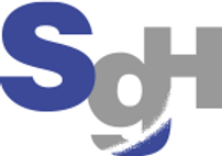 SG_Holdings.png