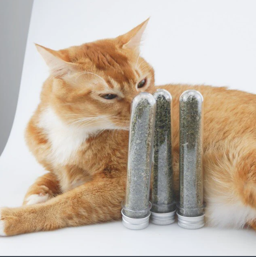 Catnip Leaves (tube) for Cats