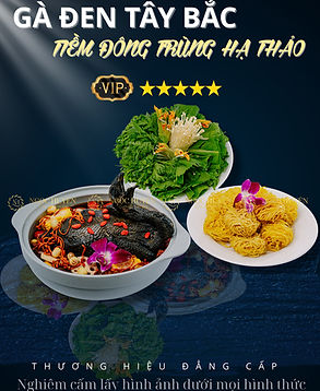 Gà Đen Tây Bắc Tiềm Đông Trùng Hạ Thảo