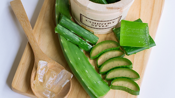The Incredible Benefits of Aloe Vera for Digestive Health