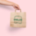 Felix Carry Bag_edited.jpg