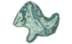 若木球場-球道攻略大地圖.png