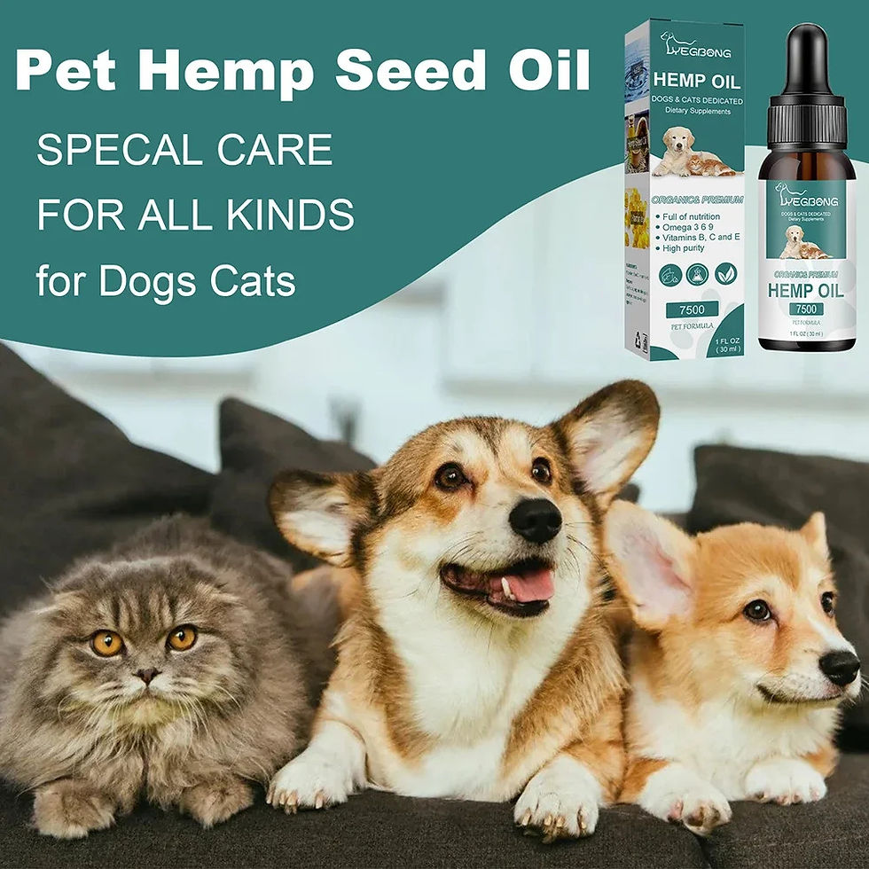 Miniatura: oleo de canabis, maconha, óleo, medicial, cannabis medicial, maconha medicial, pet, dog, calmante, remedio dog, pet, hemp oil