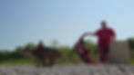 347231105_1626085201238849_341983279446247714_n.jpg