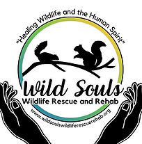 Wild Souls