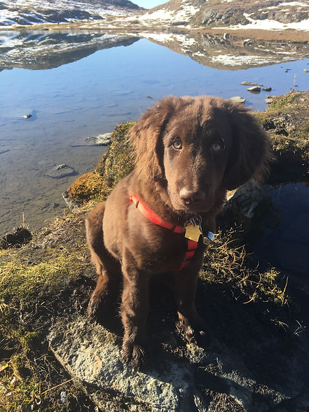 Beaver 4 months.jpeg