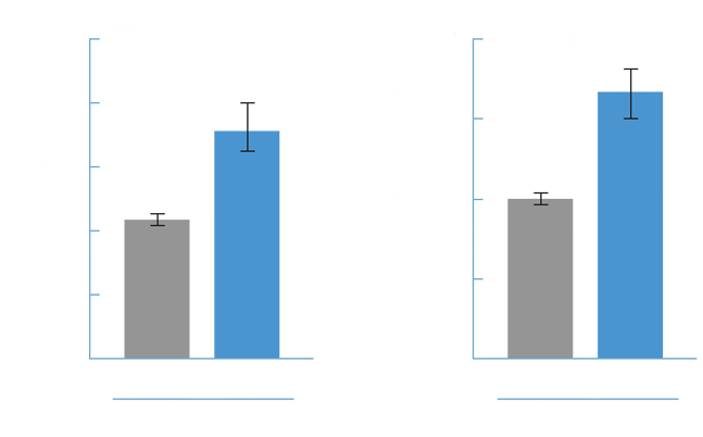 コラーゲン生成