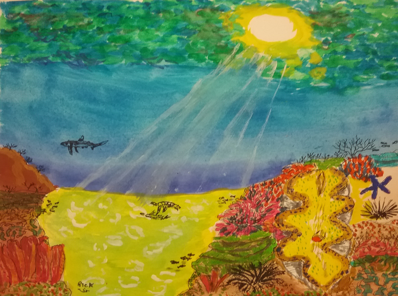 Sunlight beams on a reef