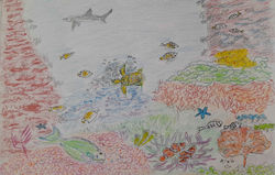 Coral Reef coloured pencil 28.11.22 (2)
