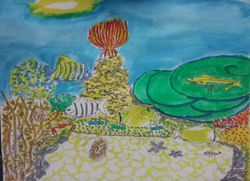 Coral reef scence 28.3.21