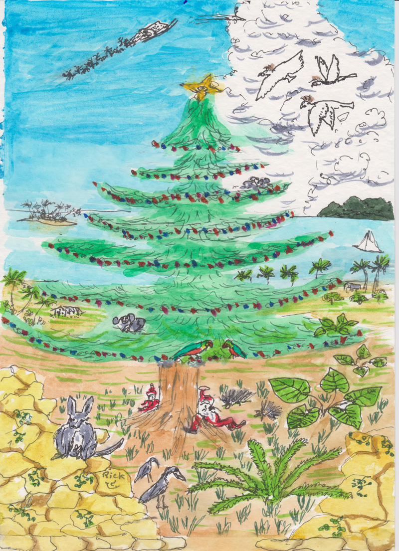 Australian Christmas 1