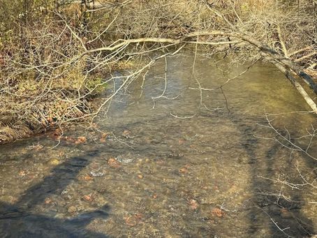 Beyond Labels, Toward Service