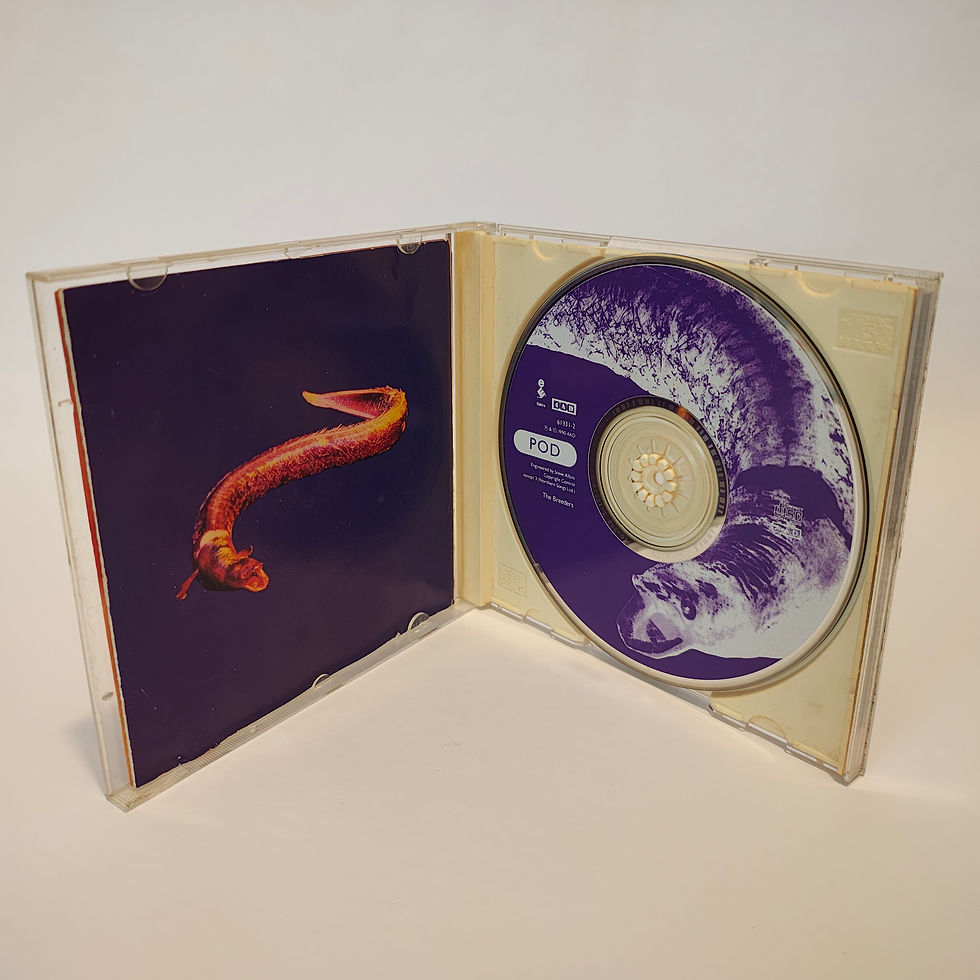 Miniatura: CD The Breeders - Pod
