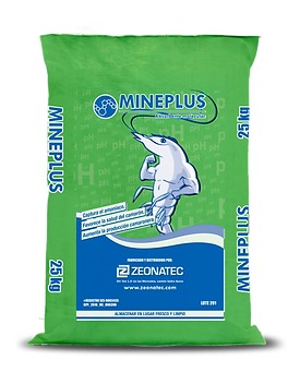 ZEOLITA NATURAL MALLA 100