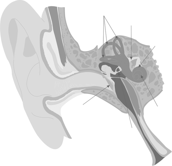 AFB 3 overzicht_oor blind.tif