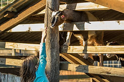 People, animals and activities (47 of 47).jpg