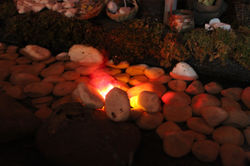 Grilli Gualtiero_20140102_015.JPG