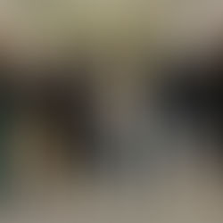 Contemporary art gallery Tabakalera in Spain